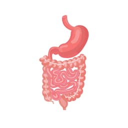 Gastrointestinal