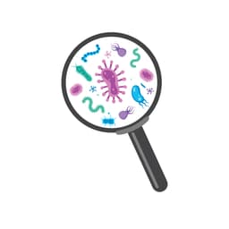 Infections